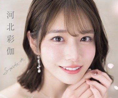 河北彩伽